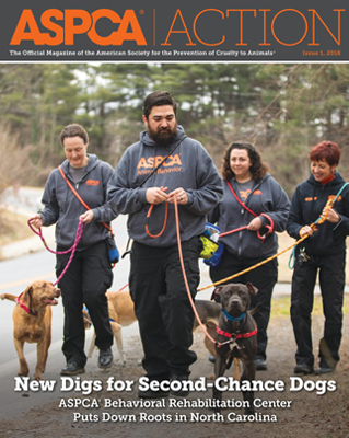 ASPCA Action Issue #1, 2018