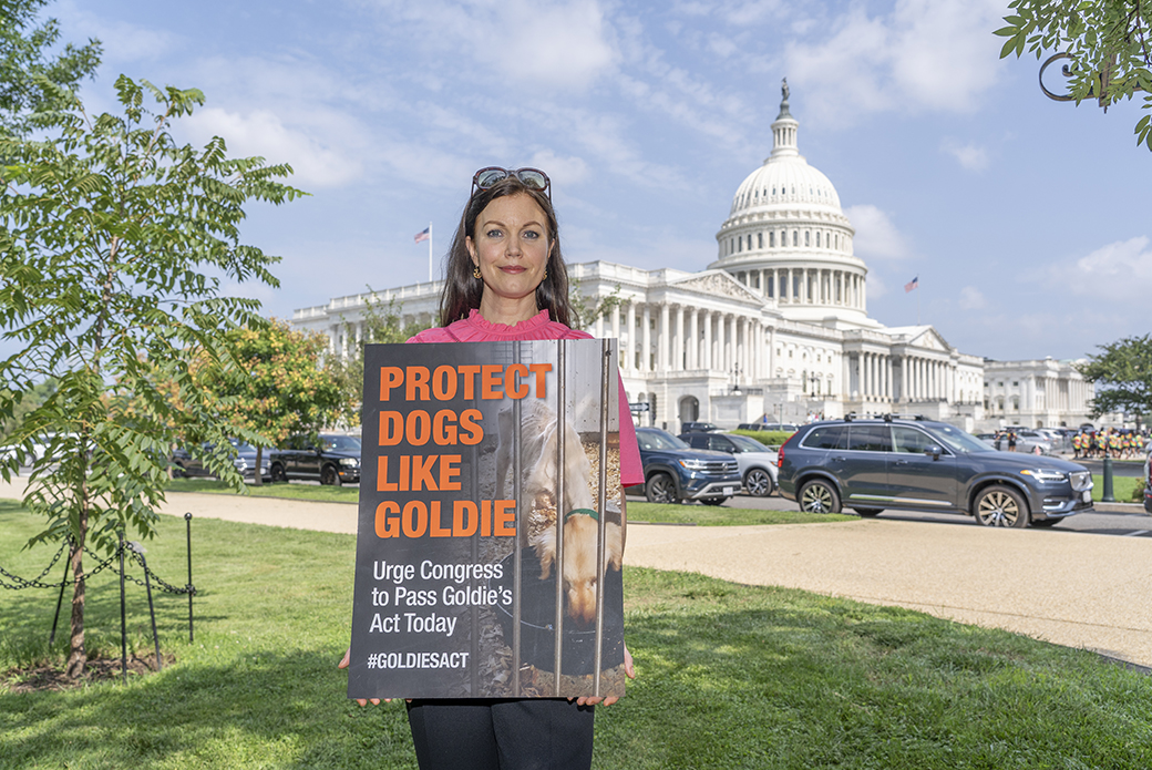 Bellamy Foster with an ASPCA Goldie's Act sign