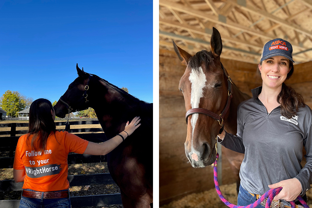 Left: a woman petting a horse on the shoulder in the shade, right: a woman with a brown horse in a stable