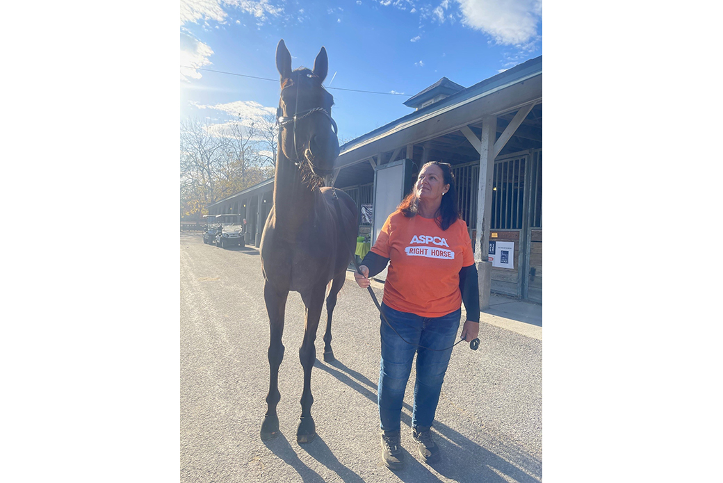 A woman with a brown horse outside by stables