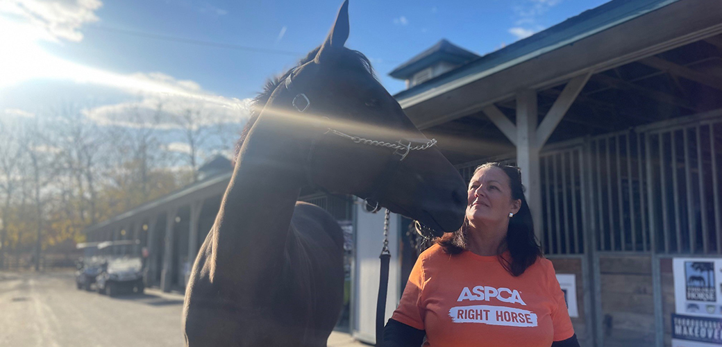 A woman with a brown horse outside by stables