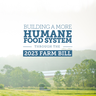 Farm Bill 101 document