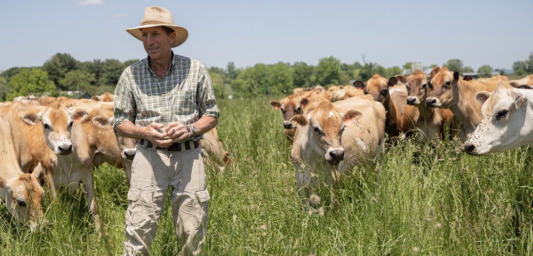 Farmer with cows