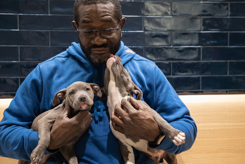 Man holding two puppies